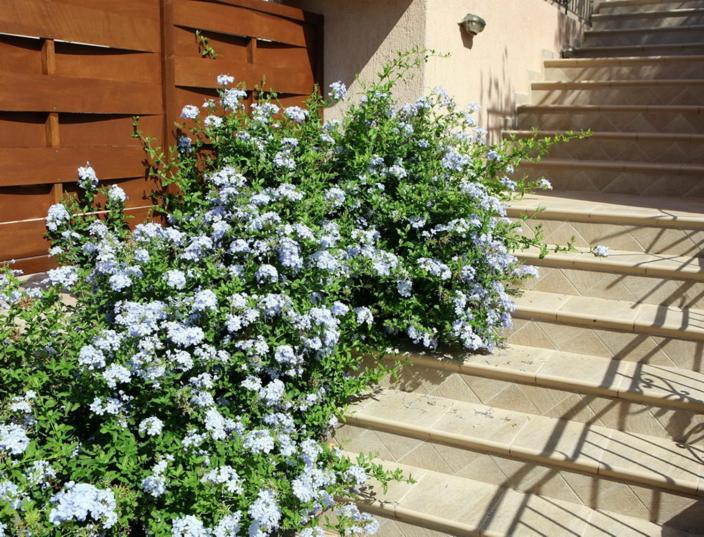 לואורדטה Provenzo And Meliti Villas מראה חיצוני תמונה